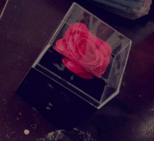 Necklace with Rose Gift Box photo review
