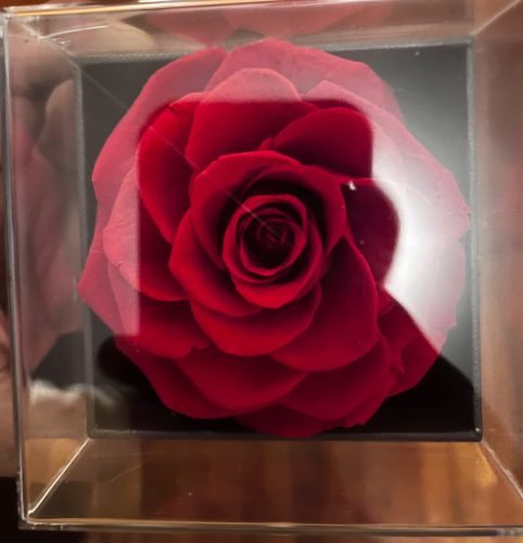 Necklace with Rose Gift Box photo review