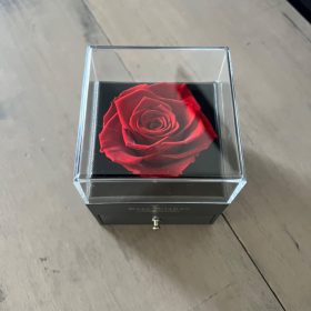 Necklace with Rose Gift Box photo review