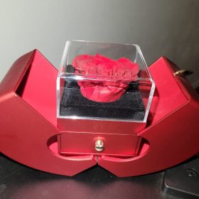 Necklace with Rose Gift Box photo review