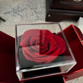 Necklace with Rose Gift Box photo review