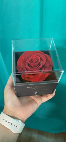 Necklace with Rose Gift Box photo review