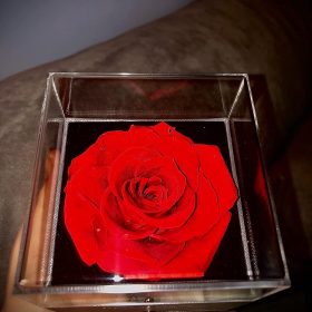 Necklace with Rose Gift Box photo review