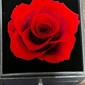 Necklace with Rose Gift Box photo review