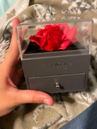Necklace with Rose Gift Box photo review
