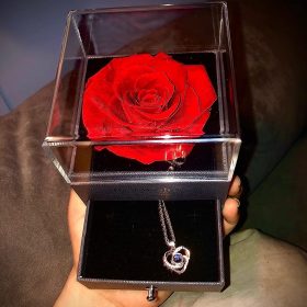Necklace with Rose Gift Box photo review