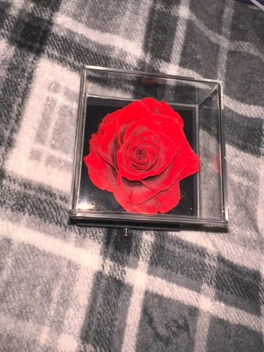 Necklace with Rose Gift Box photo review