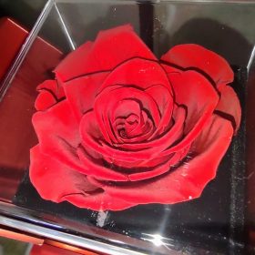 Necklace with Rose Gift Box photo review