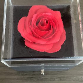 Necklace with Rose Gift Box photo review